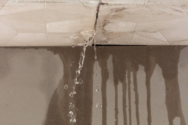Professional Water Damage Restoration technician working in Saint Jacob, IL